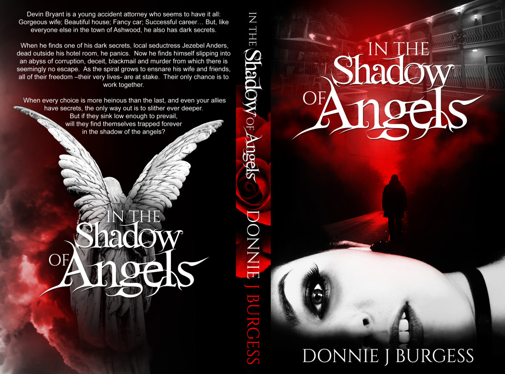 In-the-shadow-of-angels